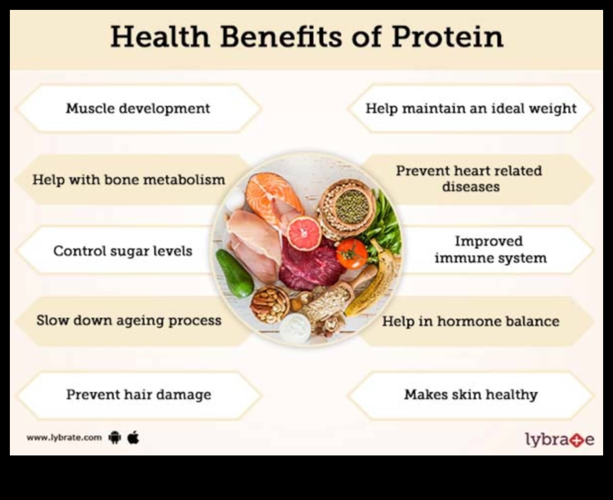 Yüksek Proteinli Diyetler ve Antioksidan Zengini Gıdalar: Sinerjik Bir Yaklaşım