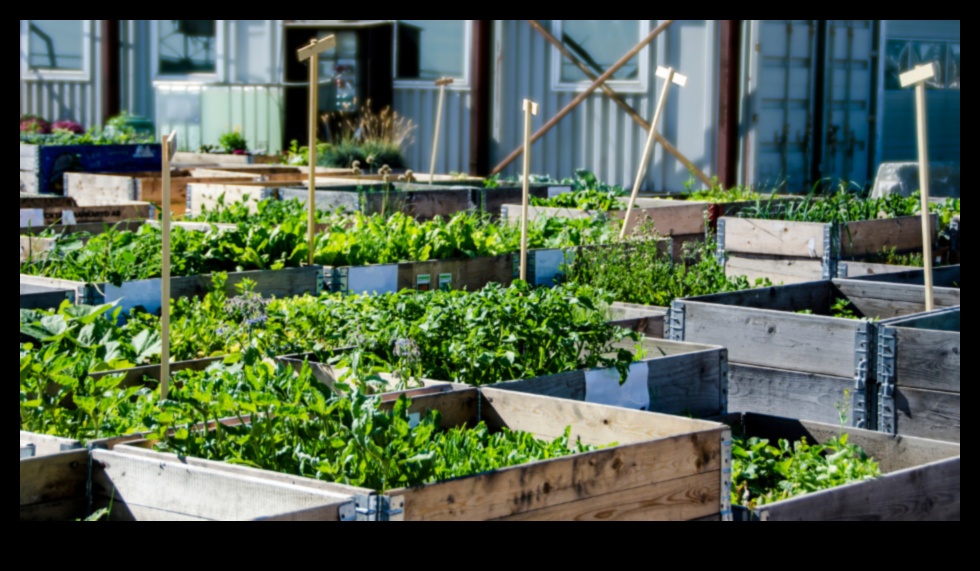 Metropolitan Green Thumb: Kentsel Bahçecilik Hileleri