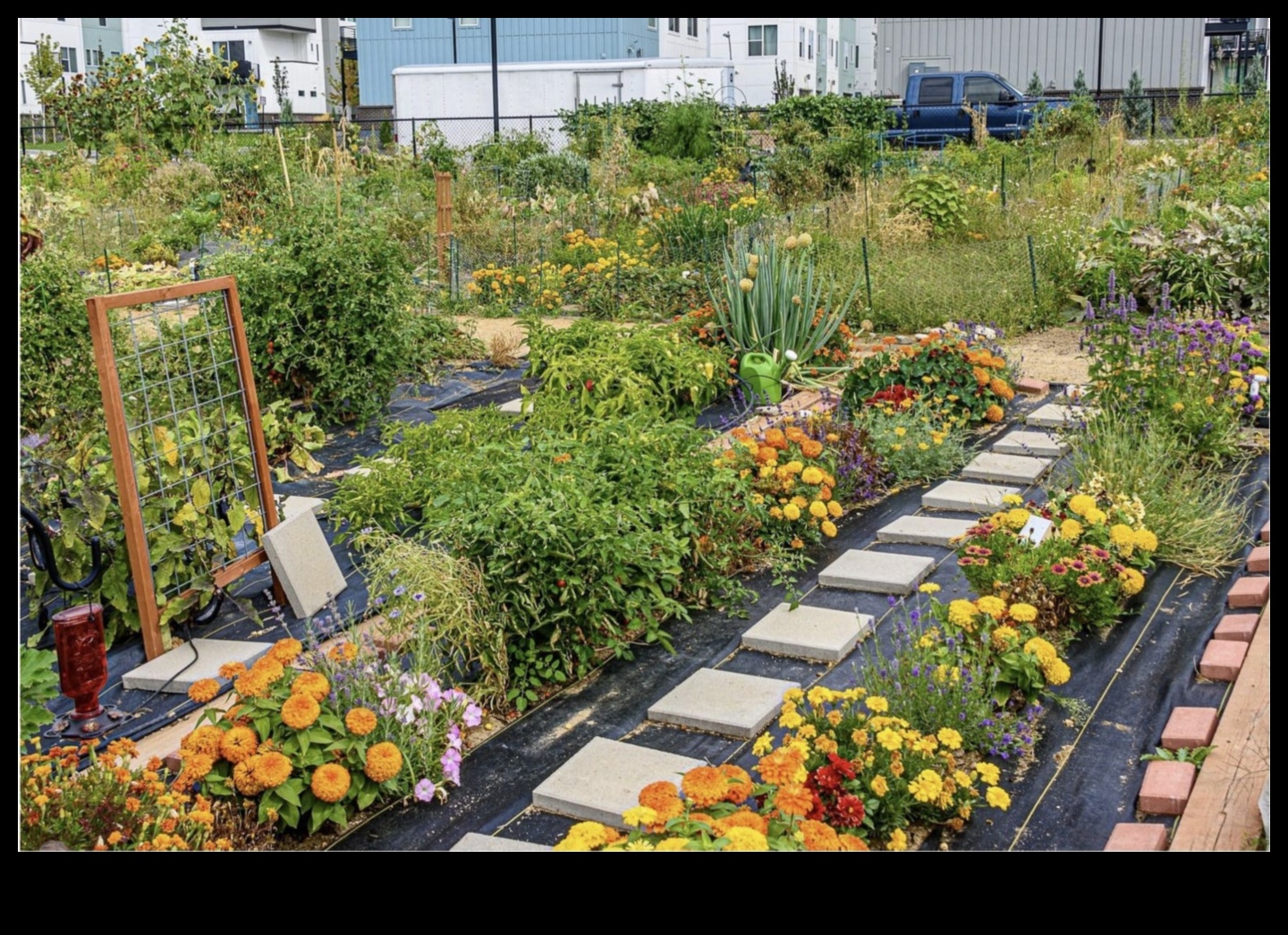 Metropolitan Green Thumb: Kentsel Bahçecilik Hileleri