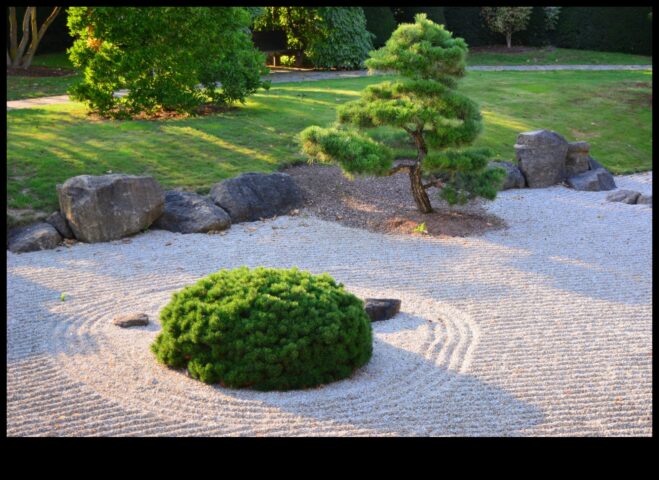 Taş Bahçesi Japon Zen Ustalığı Üzerine Bir Meditasyon